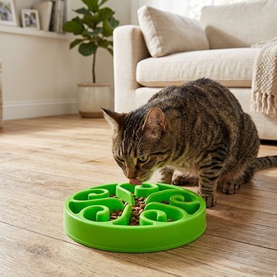 Gamelle anti glouton Chat | Mastilento™ - Univers Chat Nature