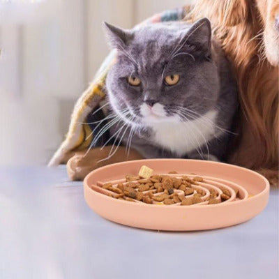 Gamelle anti glouton chat FéliFit™ avec un chat couvert qui est prêt à consomer ses croquettes - Univers Chat Nature