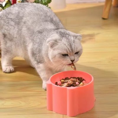 Gamelle anti-glouton chat BolControl™  dans un appartement avec un chat qui s'alimente- Univers Chat Nature