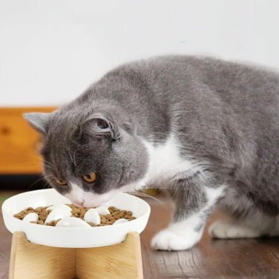 Gamelle Anti Glouton Chat | DigestControl1™ - Univers Chat Nature
