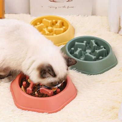 Trois gamelles anti-glouton chat | DigestControl™ sur ta- Univers Chat Natureis avec un chat qui 'alimente