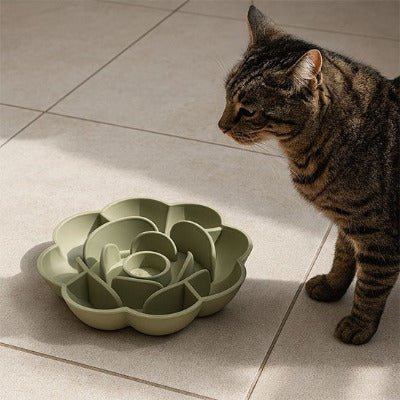 Gamelle Anti - Glouton pour Chat  FeedSmart™  verte, un chat observe attentivement sa gamelle - Univers Chat Nature
