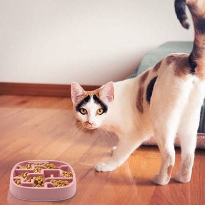Gamelle anti glouton chat DigestCare™  rose avec labyrinthe pour manger 10x plus lent à côté d'un matou