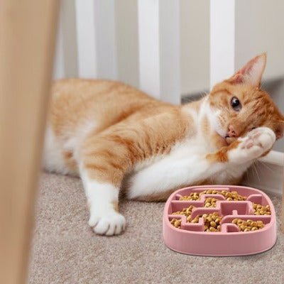 Gamelle anti glouton chat DigestCare™  rose avec labyrinthe pour manger 10x plus lent en présence d'un chat