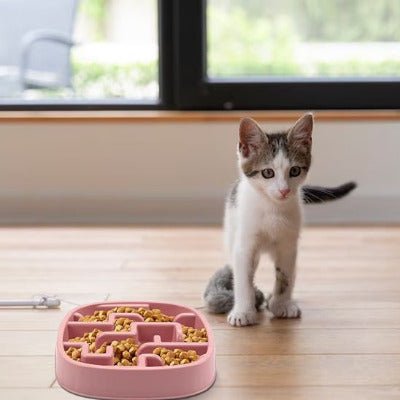 Gamelle anti glouton chat DigestCare™  avec labyrinthe pour manger 10x plus lent et un chaton à côté 