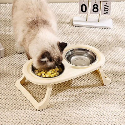 Gamelle chat Premium Anti-débordement beige installé dans un salon avec un joli chat