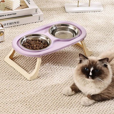 Gamelle chat Premium Anti-débordement violet et un chat 