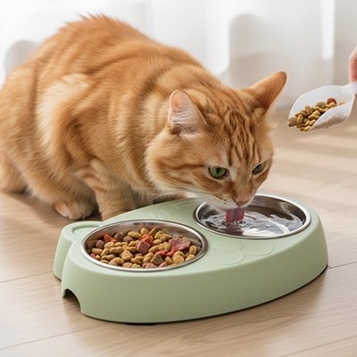 Gamelle Chat | Bol design™ - Univers Chat Nature, chat mange avec une main humaine qui ajoute des croquettes 
