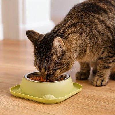 Gamelle chat | BowlMinet - Univers Chat Nature