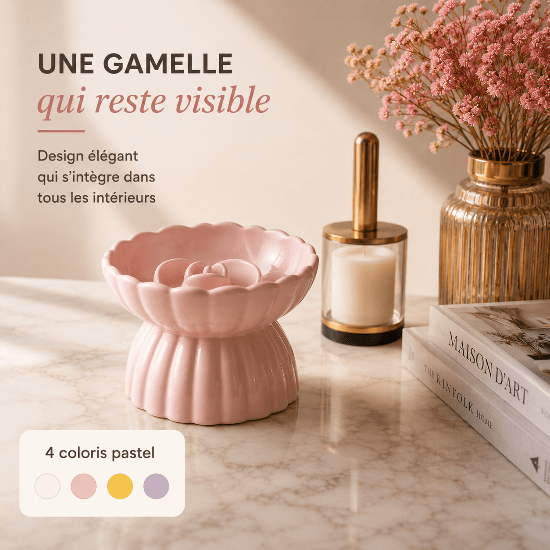RoséFélin™ : gamelle anti - glouton chat céramique design, surélevée, protectrice et belle à regarder - Univers Chat Nature