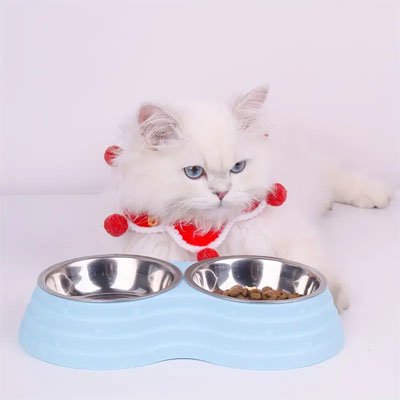 Gamelle chat élégancia chat couché à coté bol bleu