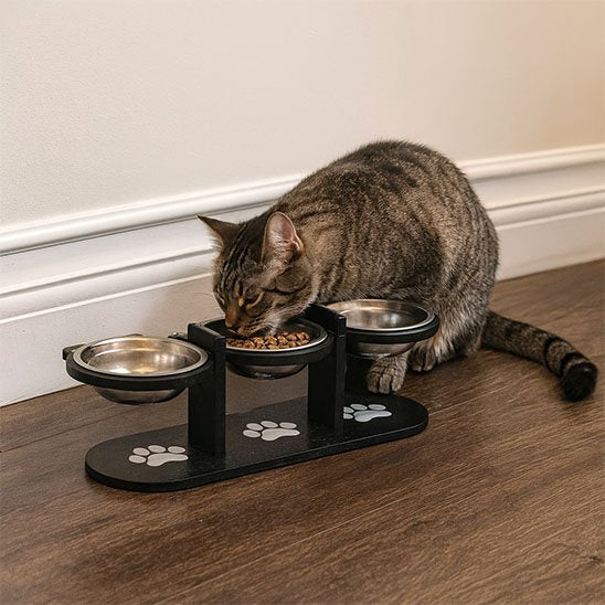 Gamelle Chat surélevée ComfortDigest à coté d'un mur du salon avec chat