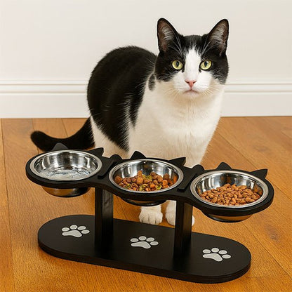 Gamelle Chat surélevée ComfortDigest avec chat noir blanc observant