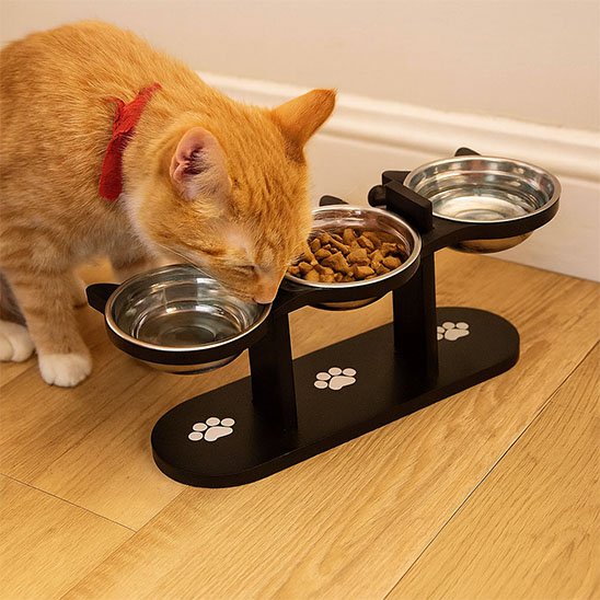 Gamelle Chat surélevée ComfortDigest installé sur plancher en bois avec chat mangeant