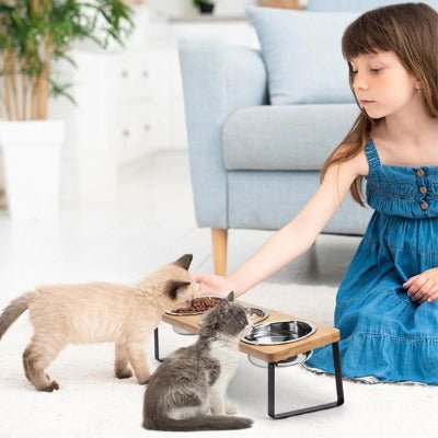 Gamelle Chat Surélevée | CatCroquant™ - Univers Chat Nature