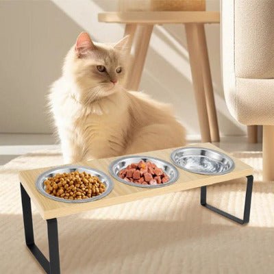 Gamelle Chat Surélevée | CatCroquant™ - Univers Chat Nature