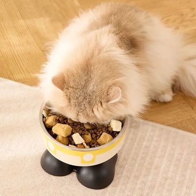 Gamelle chat surélevée - Trône Élevé: Confort digestif|anti - renversement - Univers Chat Nature