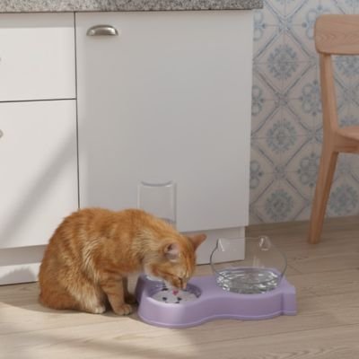 Gamelle chat | Premium Élégancia - Univers Chat Nature