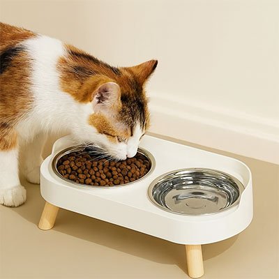 Gamelle pour chat ErgoClean avec une chate tacheitée s'alimentant
