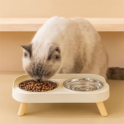 Gamelle pour chat ErgoClean dans une belle salle mangeant ses croquettes