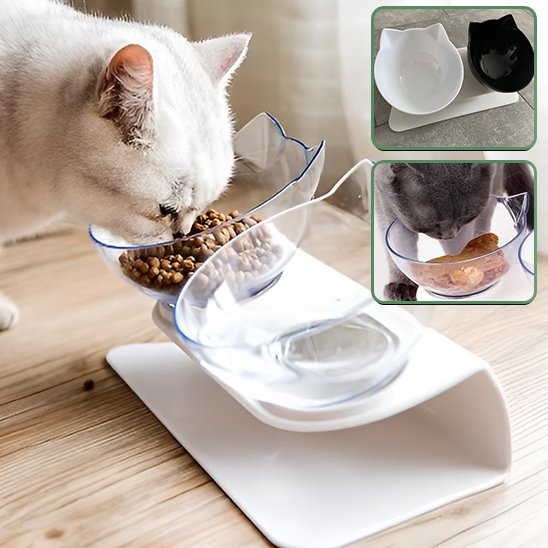 Gamelle pour chat de qualité superieur