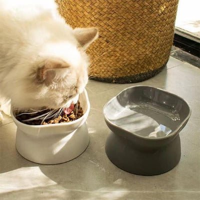 Gamelle pour chat | Ergobol™ - Univers Chat Nature