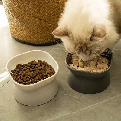 Gamelle pour chat | Ergobol™ - Univers Chat Nature