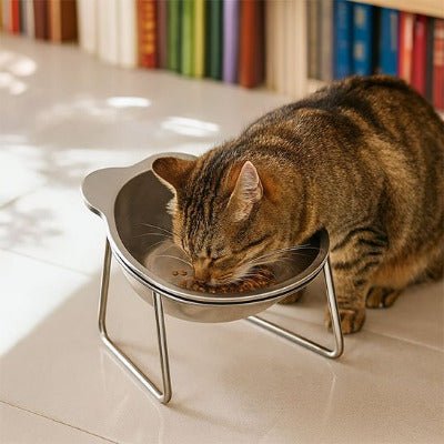 Gamelle pour chat | GamComforta™ - Univers Chat Nature