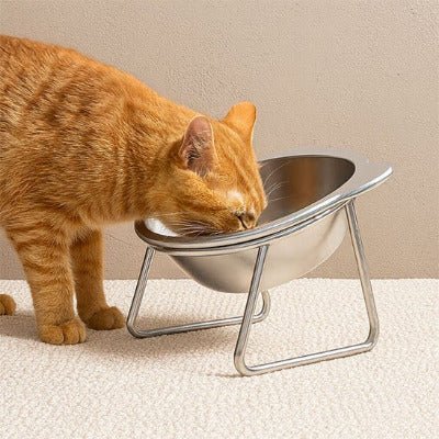 Gamelle pour chat | GamComforta™ - Univers Chat Nature