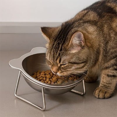 Gamelle pour chat | GamComforta™ - Univers Chat Nature