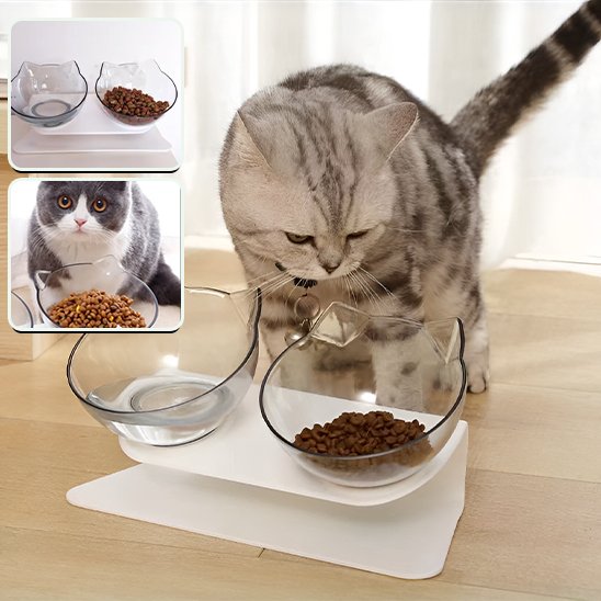 Gamelle pour chat inclinée 