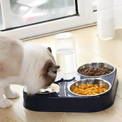 Gamelle pour chat inclinée anti - reflux | MiraGam™ - Univers Chat Nature
