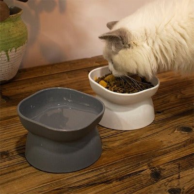 Gamelle pour chat | Ergobol™ - Univers Chat Nature