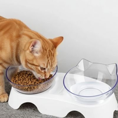 Gamelle pour Chat | TransIris™ - Univers Chat Nature