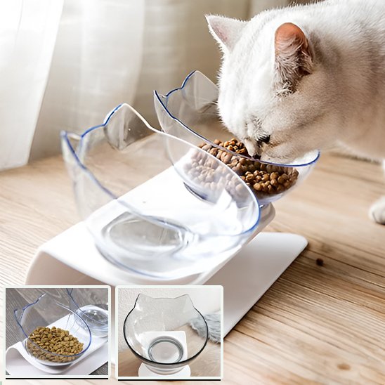 Gamelle pour chat transparent à coté d'un chat joyeux