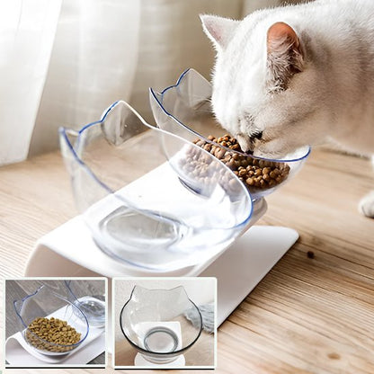 Gamelle pour chat transparent à coté d'un chat joyeux