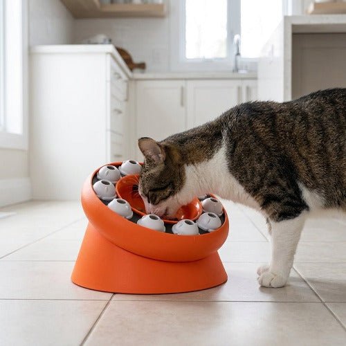 Gamelle puzzle chat PuzzFélin™, anti - glouton ludique - Univers Chat Nature