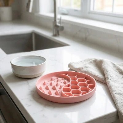 Gamelles anti glouton chat SlowFeast™ : ralentir l’alimentation - Univers Chat Nature