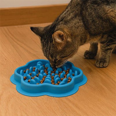 Gamelles Anti Glouton Chat | DigestSafe™ - Univers Chat Nature