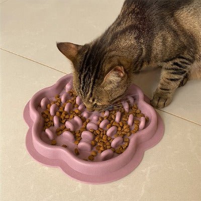 Gamelles Anti Glouton Chat | DigestSafe™ - Univers Chat Nature