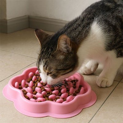 Gamelles Anti Glouton Chat | DigestSafe™ - Univers Chat Nature