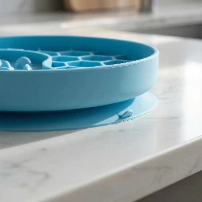 Gamelles anti glouton chat SlowFeast™ : ralentir l’alimentation - Univers Chat Nature