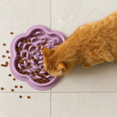 Gamelles Anti Glouton Chat | DigestSafe™ - Univers Chat Nature