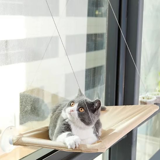 hamac chat fenetre | PerchoirSerei™ - Univers Chat Nature