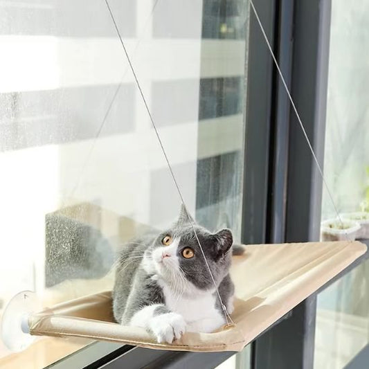 hamac chat fenetre | PerchoirSerei™ - Univers Chat Nature