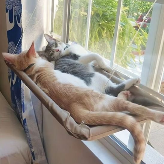 hamac chat fenetre | PerchoirSerei™ - Univers Chat Nature