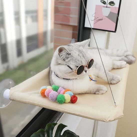hamac chat fenetre | PerchoirSerei™ - Univers Chat Nature