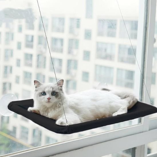 hamac chat fenetre | PerchoirSerei™ - Univers Chat Nature