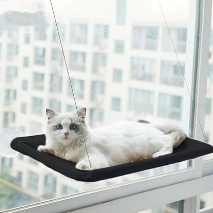 hamac chat fenetre | PerchoirSerei™ - Univers Chat Nature