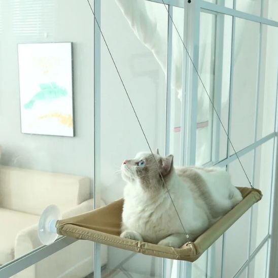 hamac chat fenetre | PerchoirSerei™ - Univers Chat Nature